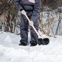 Лопата для уборки снега пластиковая, 380х385х1420 мм, деревянный черенок Россия 615745