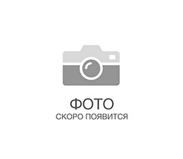 Шампур плоский, 750 х 15 х 2 мм, нержавеющая сталь PALISAD 69659 ― PALISAD